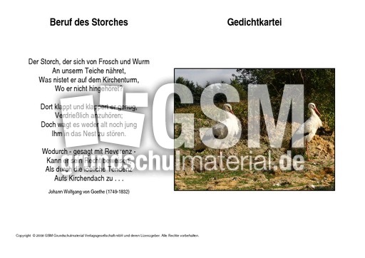 Beruf-des-Storches-Goethe.pdf